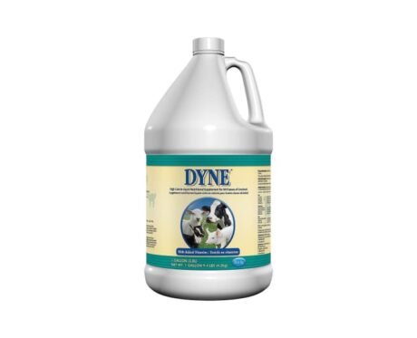 Dyne High Calorie Liquid Livestock Supplement